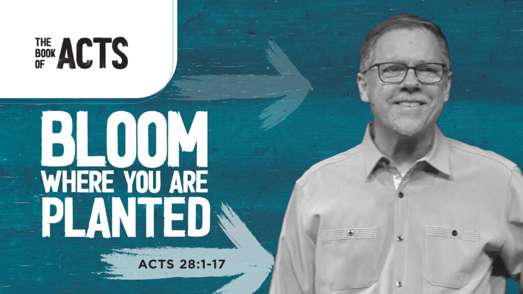 Bloom Where You Are Planted